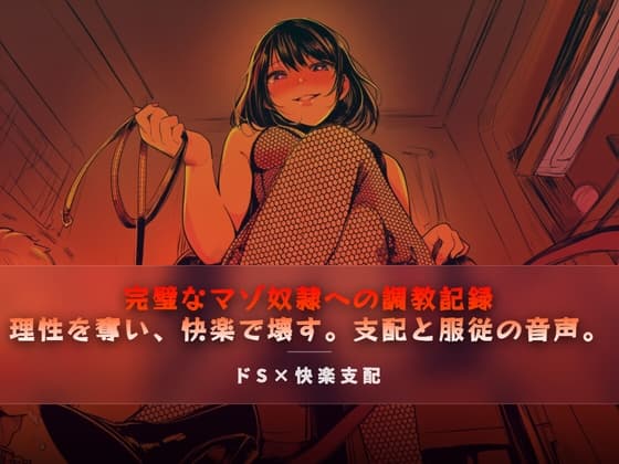 完璧なマゾ奴隷への調教記録